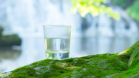 自然の中の一杯の水