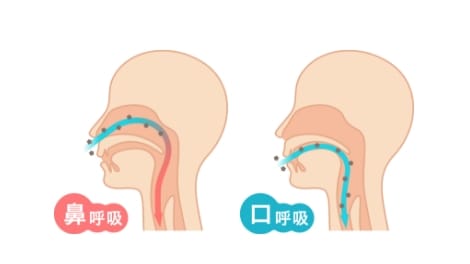 鼻呼吸と口呼吸のイメージ図