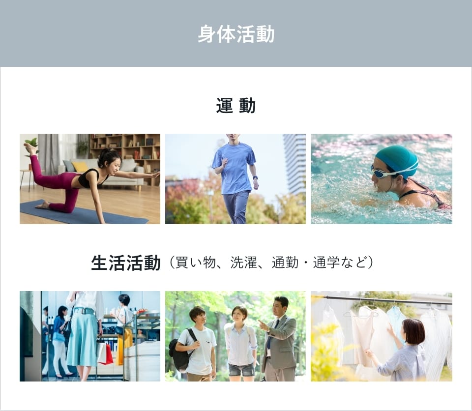運動と生活活動の分類図