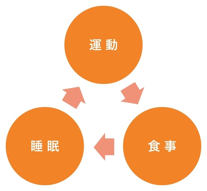 運動・食事・睡眠が相互に影響するサイクルの図