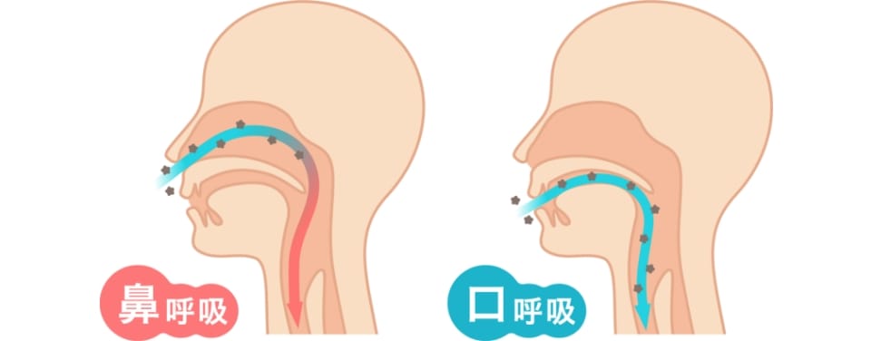 鼻呼吸と口呼吸のイメージ図
