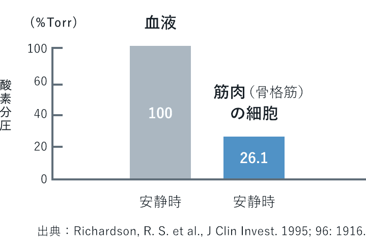 安静時における血液と筋肉の酸素分圧の比較を表すグラフ