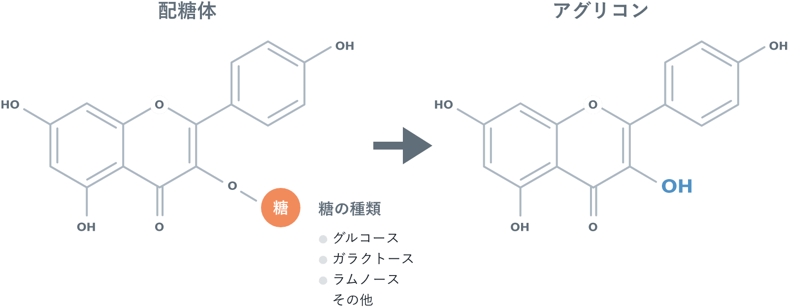 配糖体からアグリコンへ変化する化学構造式の図