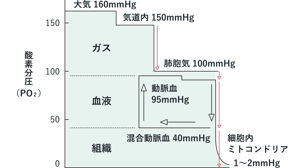 酸素瀑布図