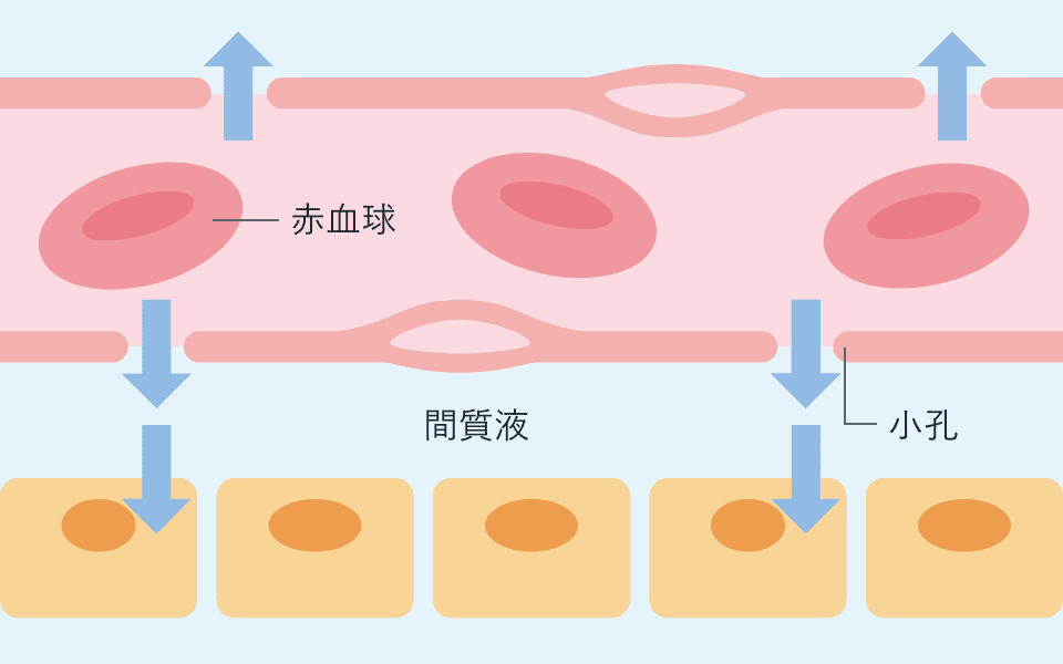 細胞に酸素を引き渡す図