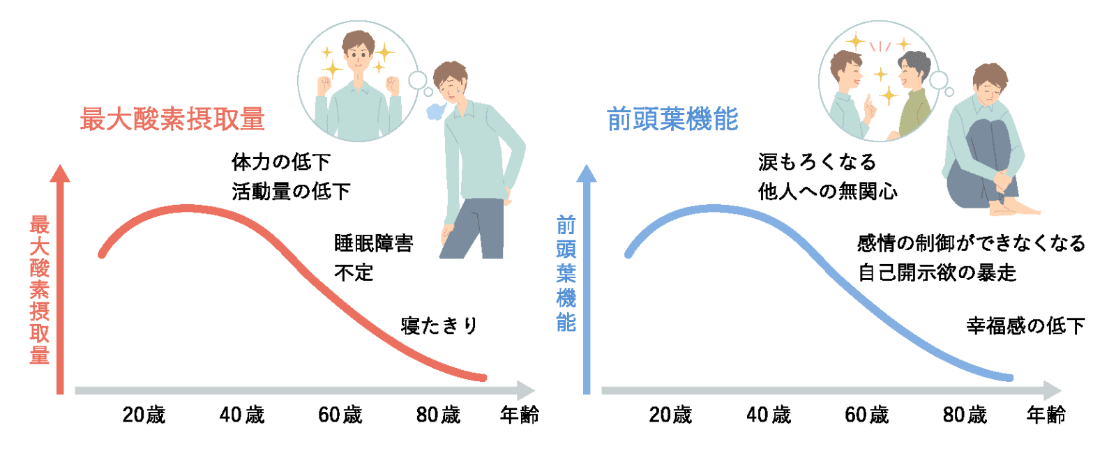 最大酸素摂取量と前頭葉機能の年齢推移のグラフ