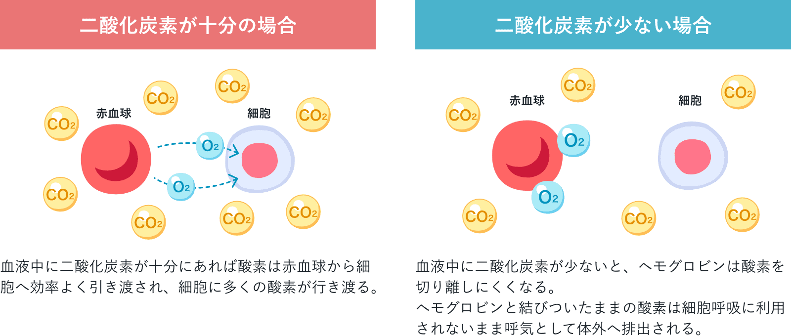 血液中の酸素と二酸化炭素のバランスについての図