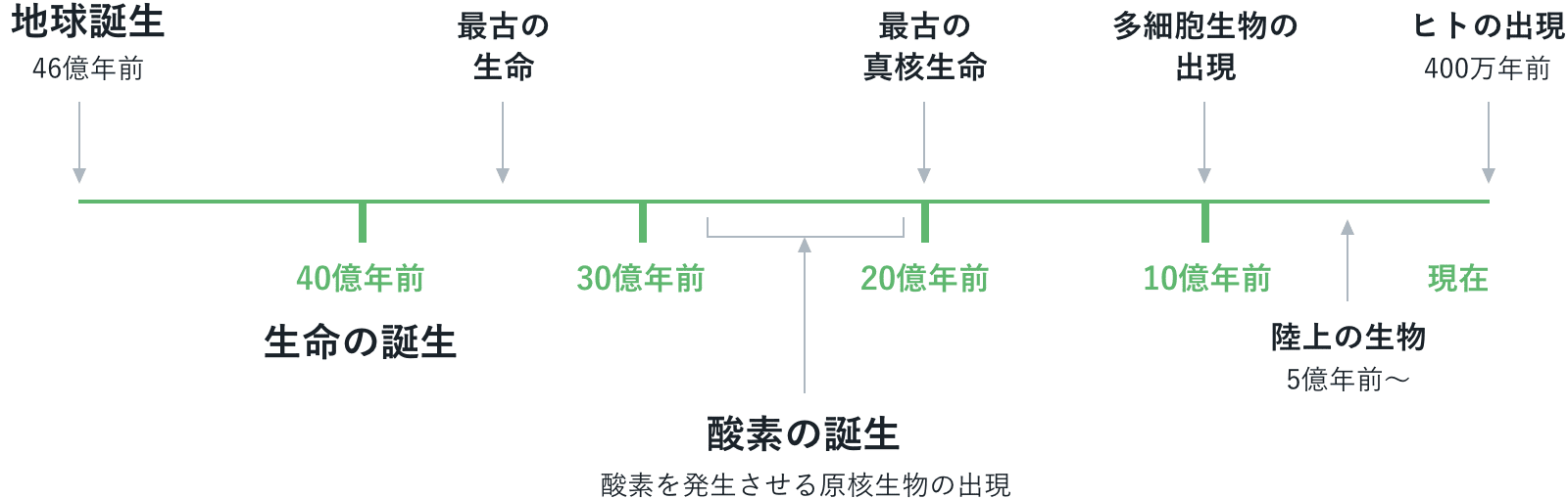 地球誕生からヒトの出現までの時間軸を示した図