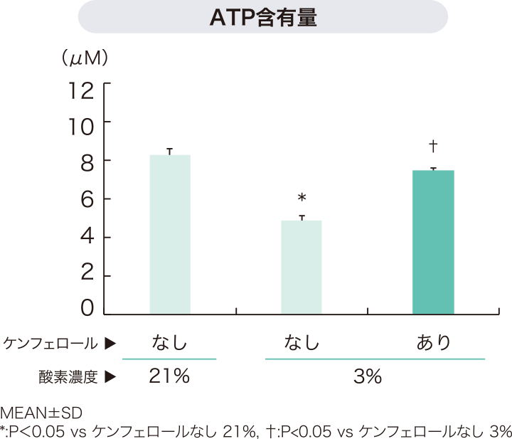 ATP含有量を表すグラフ
