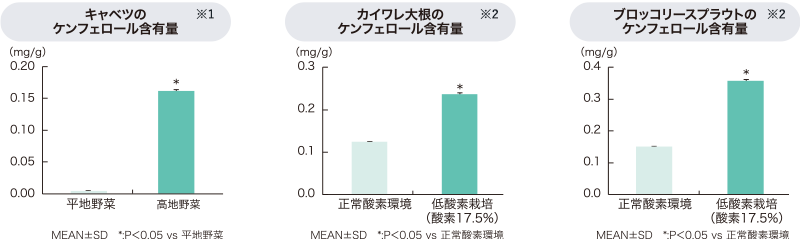 キャベツ・カイワレ大根・ブロッコリースプラウトに含まれるケンフェロール含有量を表すグラフ