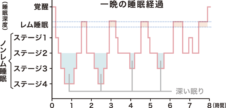 一晩の睡眠経過の図